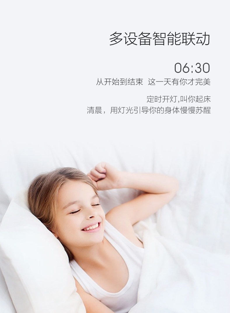 小米生態鏈 小米生態鏈